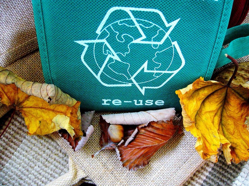Zelená taška s nápisom re-use a symbolom recyklácie medzi jesenným lístím
