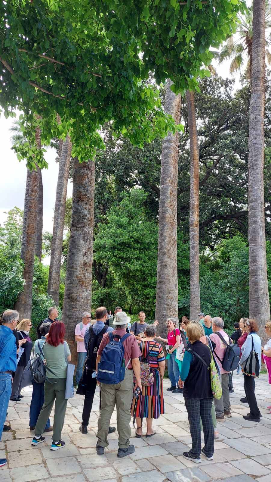 A group of visitors stands in a circle under tall palm trees in the National Garden while a guide speaks.