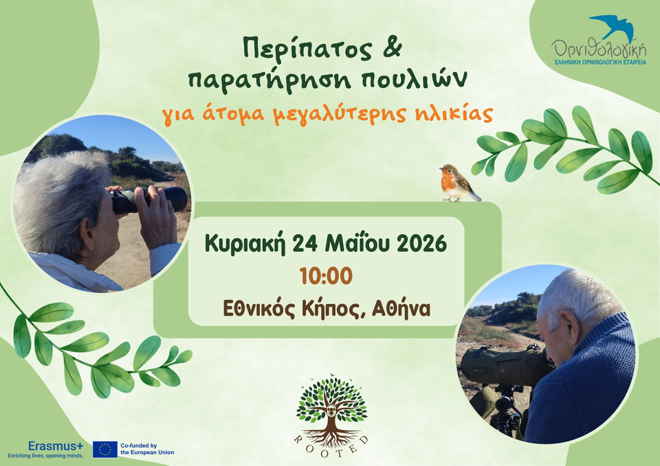 Poster in Greek for a walk and birdwatching event for older people, Sunday 24 May 2026 at 10:00, National Garden, Athens, with the logos of the Hellenic Ornithological Society, ROOTED, Erasmus+ and the European Union.