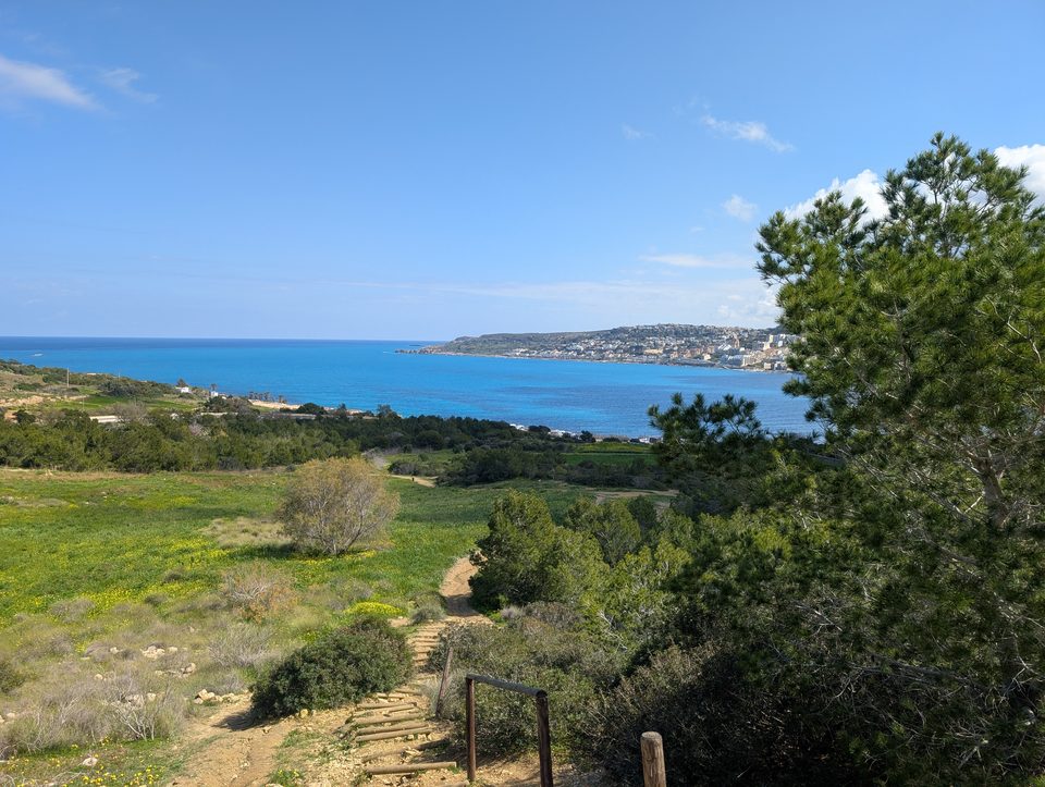 A footpath with wooden steps leads down through a flowering meadow and pine trees towards a bright blue bay at Foresta 2000 nature reserve, Malta.