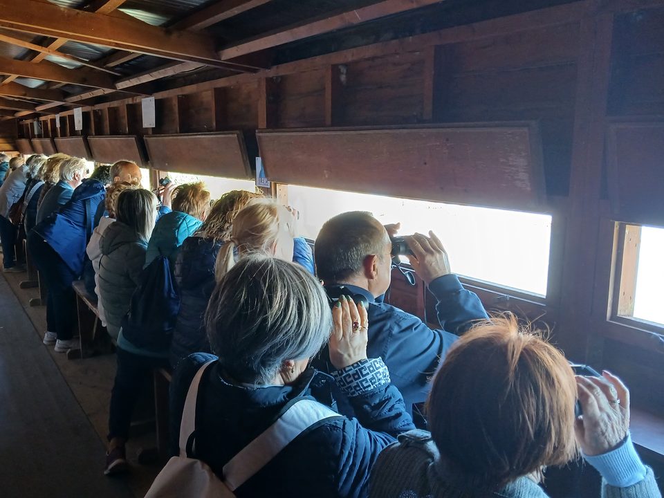 Visitors line up along the windows of a wooden bird hide and look out through binoculars.