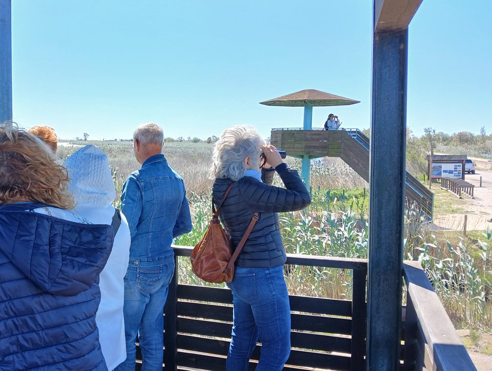 Visitors stand on a covered wooden viewpoint looking over reeds and wetland; one holds binoculars to her eyes, and a wooden observation tower stands in the background.