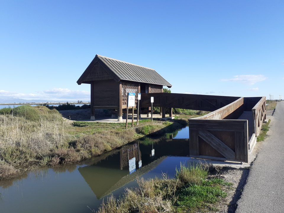 A wooden bird hide with an access ramp beside a canal in the Ebro Delta, Spain